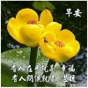 一道彩虹的头像