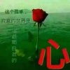 ～老～董～的头像