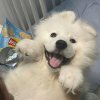 总攻的头像