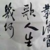 壮壮小螃蟹的头像