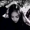 ༄ ོ缘 ༅ ོ＊暂退＊的头像