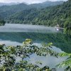 Albert的头像