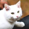 阿郎的头像