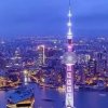 蓦然回首的头像