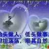 风的头像