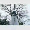 清风♚飘飘的头像