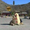 三川人生如梦的头像