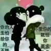 雪儿的头像