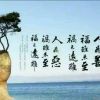 宝呗年华的头像