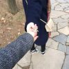   Care的头像