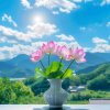 君子兰的头像
