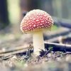 停格的头像