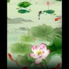 永得恒的头像