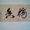 liulizheng的头像