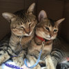 蓝天的头像