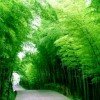 。夏日的风。的头像