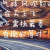 褚姐的头像