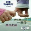 龙凤呈祥的头像