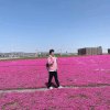 幸福人生^_^的头像