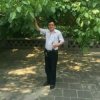 懿的头像