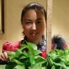 超越梦想的头像