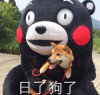 公主.的头像