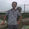 徐森耀的头像