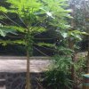 懂的头像
