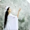 秋水悠悠（云水禅心）的头像