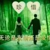 丹虹的头像