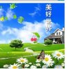 丽丽的头像