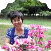 知足常乐的头像