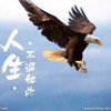 思念无期的头像