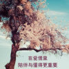 一念静心的头像