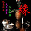 杨德宇的头像