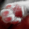 ★《阳光》★的头像