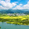 华安（忙，渐退）的头像