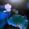 惜缘的头像
