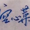 空心菜（停币）的头像