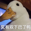 大头AWM的头像