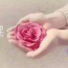 鸿之羽的头像