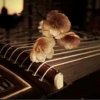 琴音筝韵的头像
