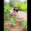 满天星，的头像