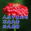好心人的头像
