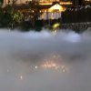 枫情的头像