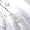 光明的头像