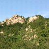 夏日凉风的头像