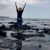 蓝色的海的头像