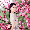 4078190455樱花的头像