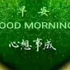 七歌美好的明天（拒私信）的头像